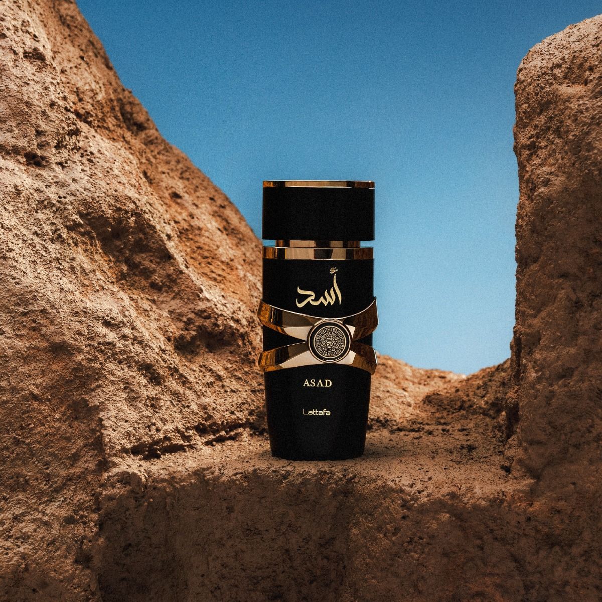 ASAD MEN EDP 100ML