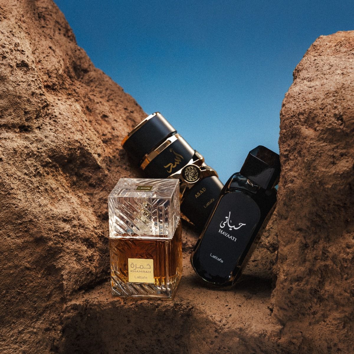 ASAD MEN EDP 100ML